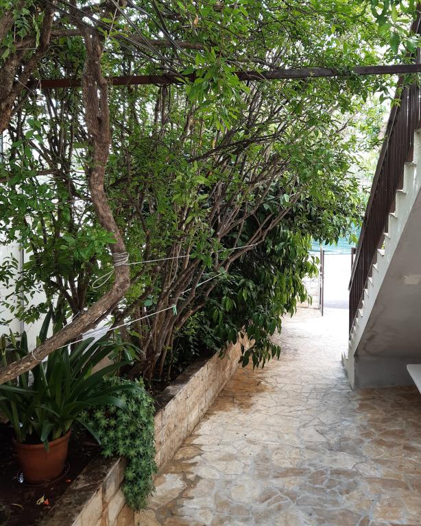 Apartmani Zvjezdana – fotografija 5