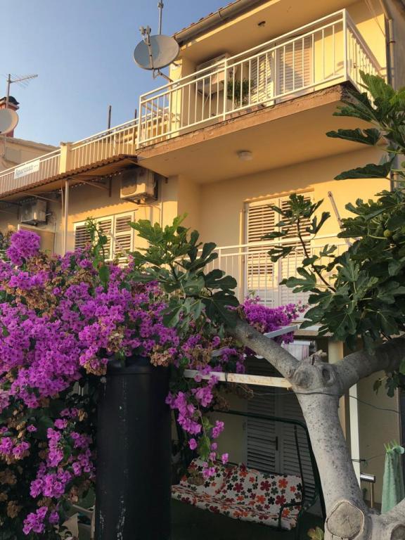 Apartmani Sunara – fotografija 3