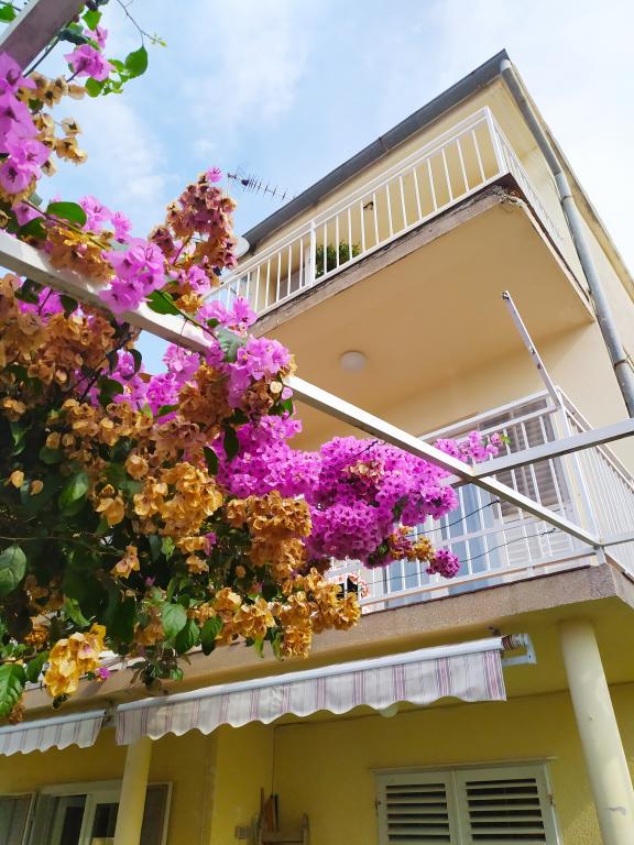Apartmani Sunara – fotografija 5