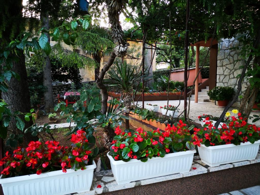 Apartmani Gordana – fotografija 5