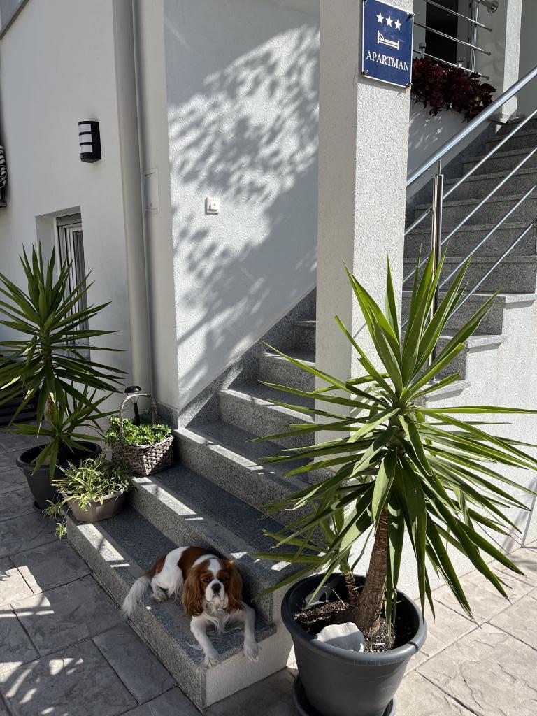 Apartmani Villa Dani – fotografija 5