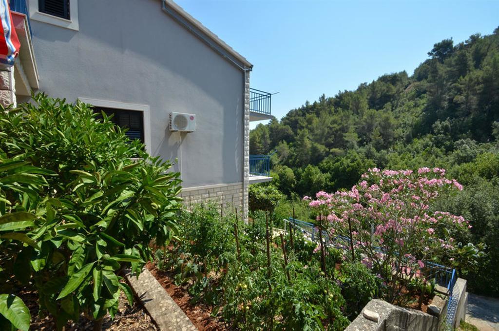 Apartmani Kuzma – fotografija 3