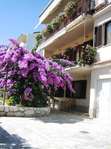 Apartmani Fortuna – fotografija 4