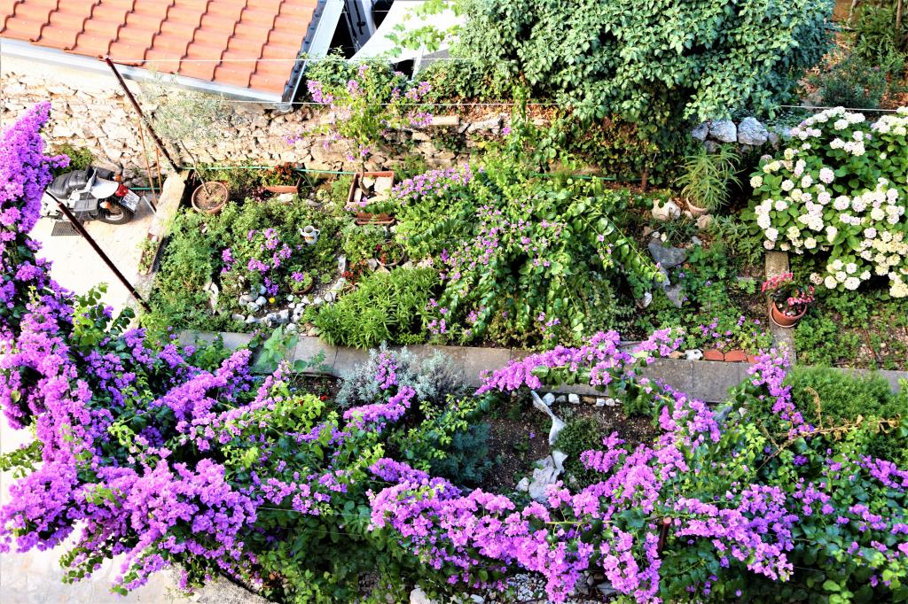 Apartmani Fortuna – fotografija 6