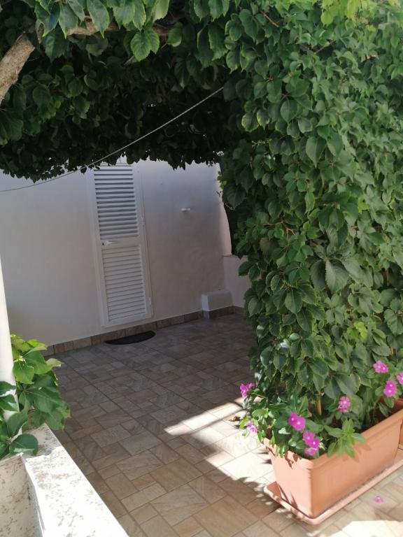 Apartmani Roko – fotografija 6