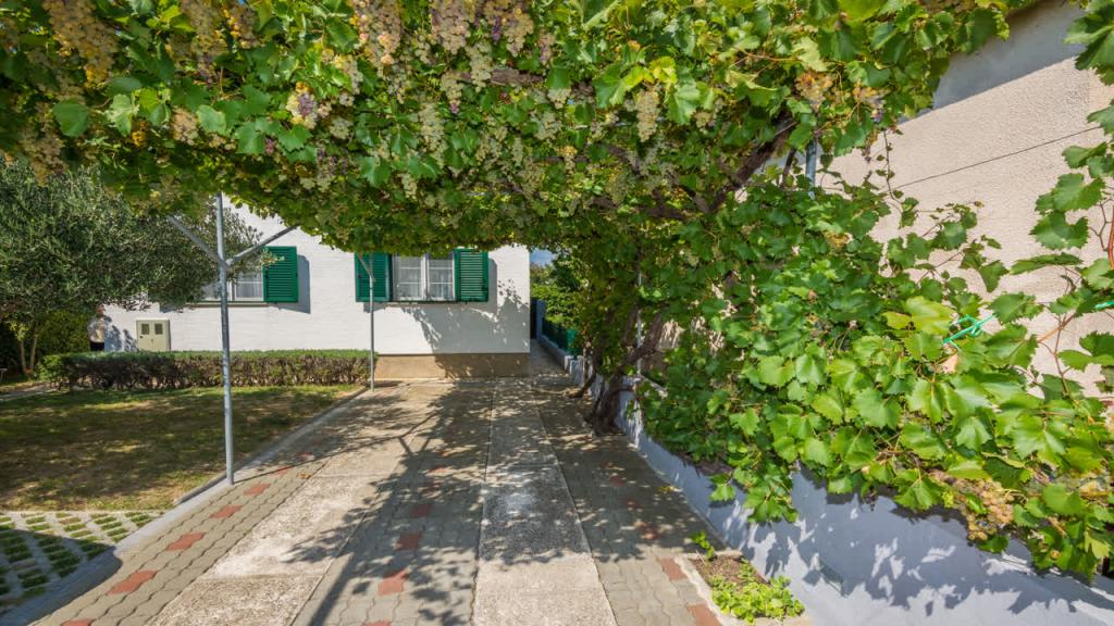 Apartman Goga Zukve Vrsi – fotografija 3