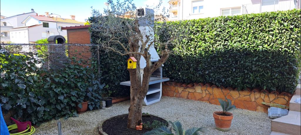 Apartman Malu – fotografija 6