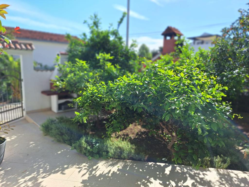 Apartmani Jan – fotografija 4
