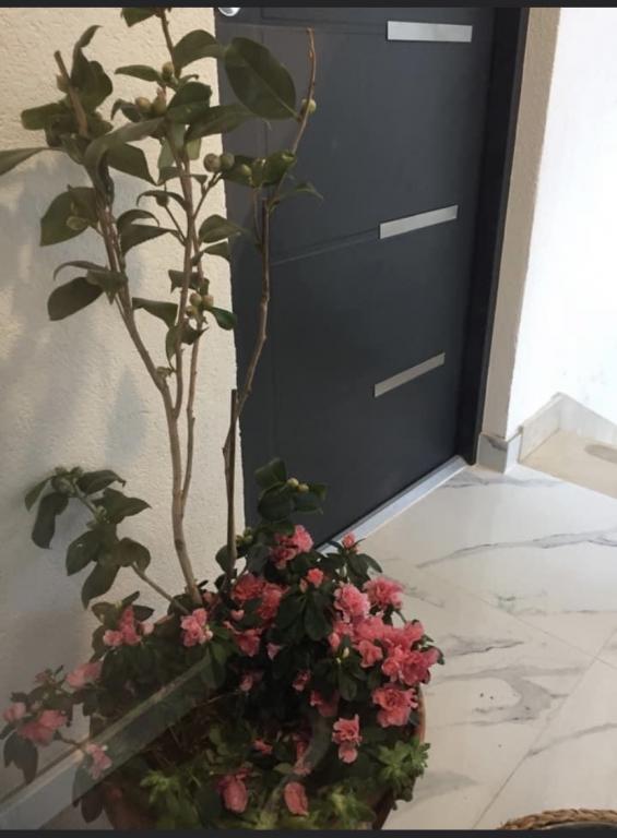 Apartmani Alena – fotografija 3