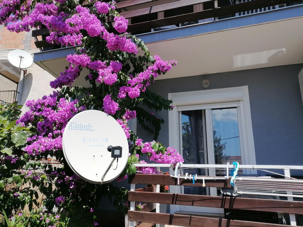 Apartman Turina – fotografija 4