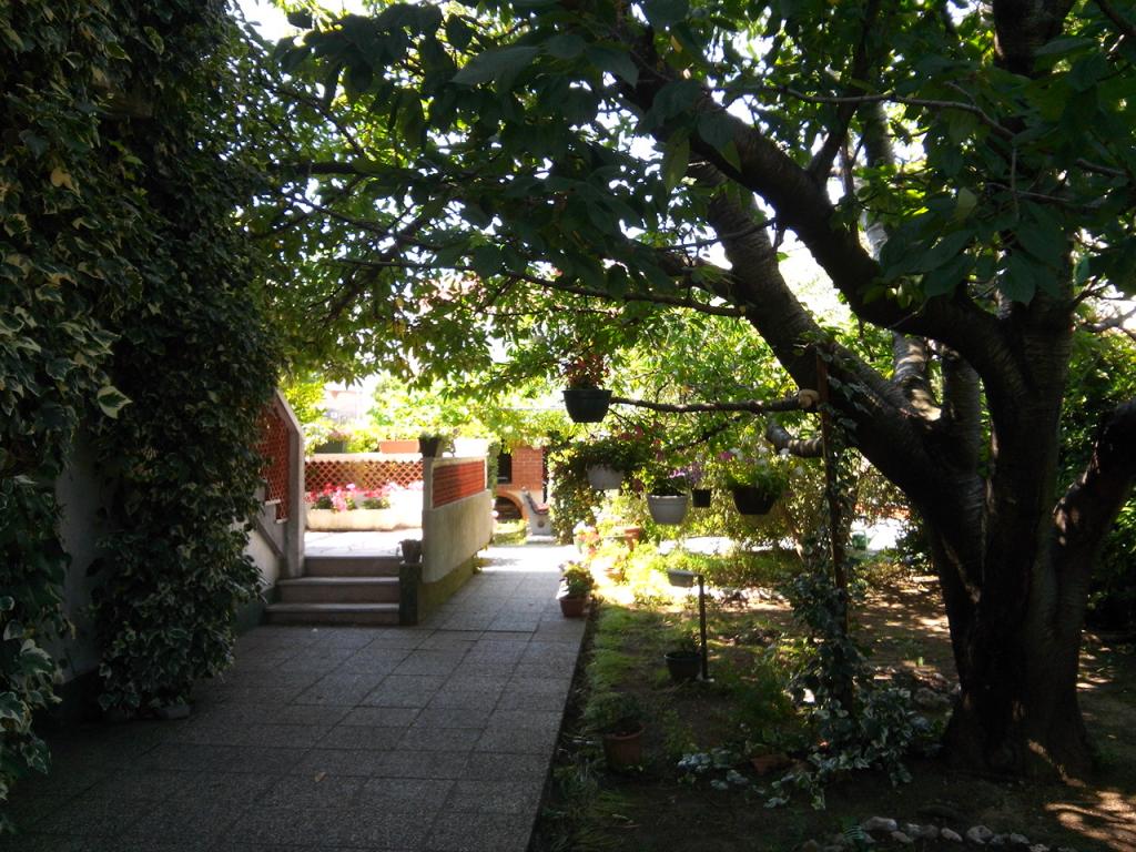 Apartmani Branko – fotografija 2