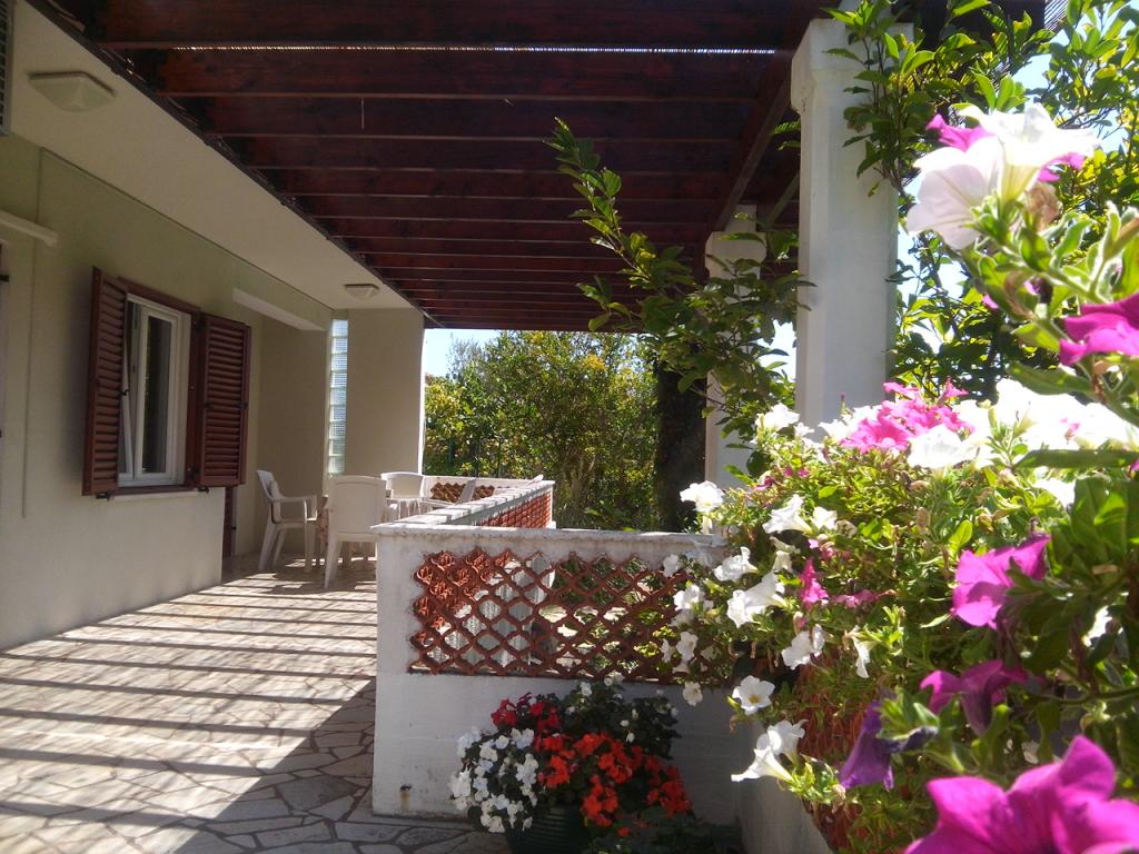 Apartmani Branko – fotografija 3