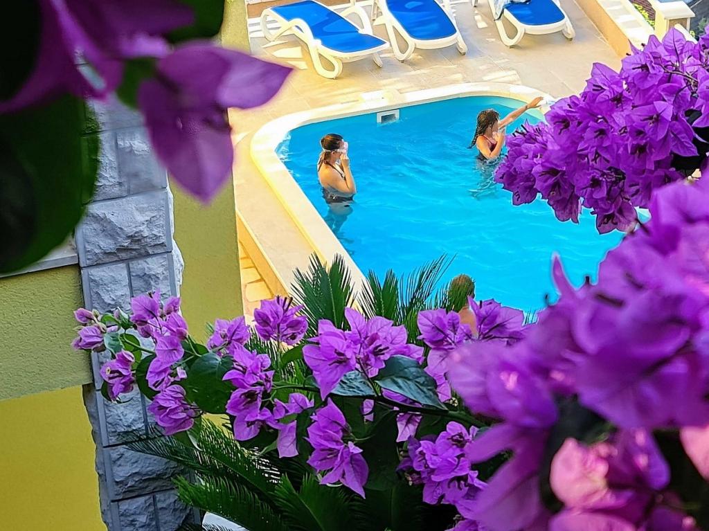 Apartmani Villa Mira – fotografija 2