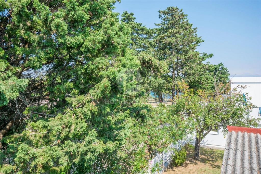 Apartmani Blue – fotografija 3