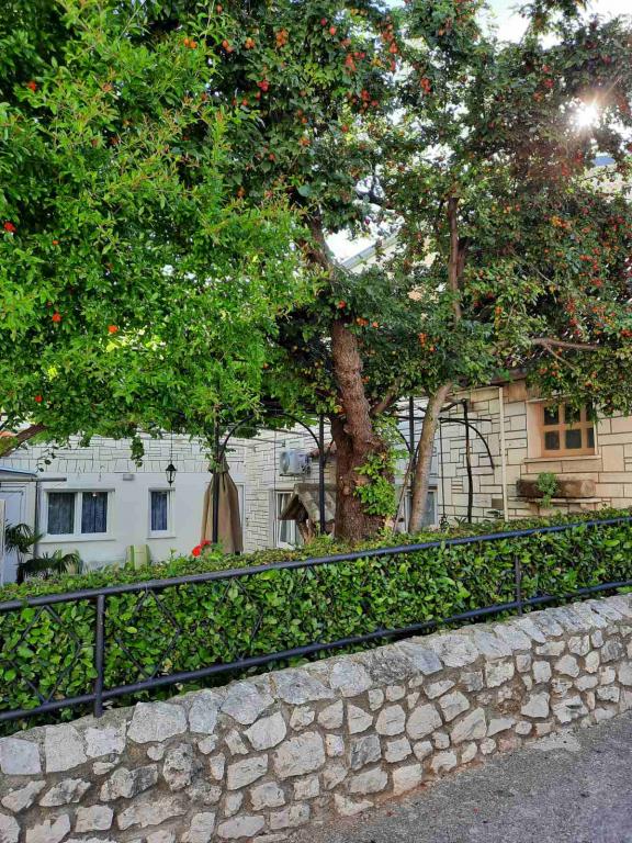 Apartman Branka – fotografija 4
