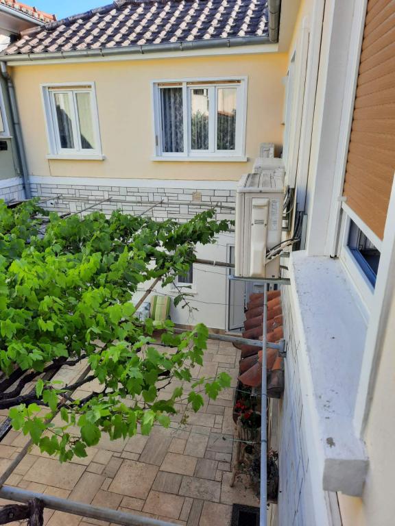 Apartman Branka – fotografija 6