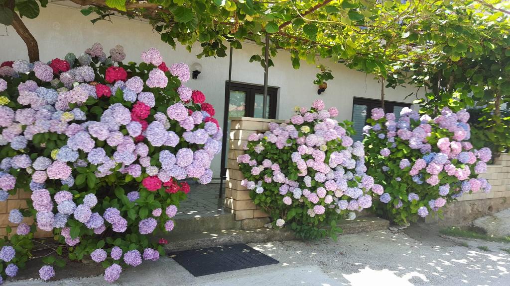 Apartman Magdalena – fotografija 3