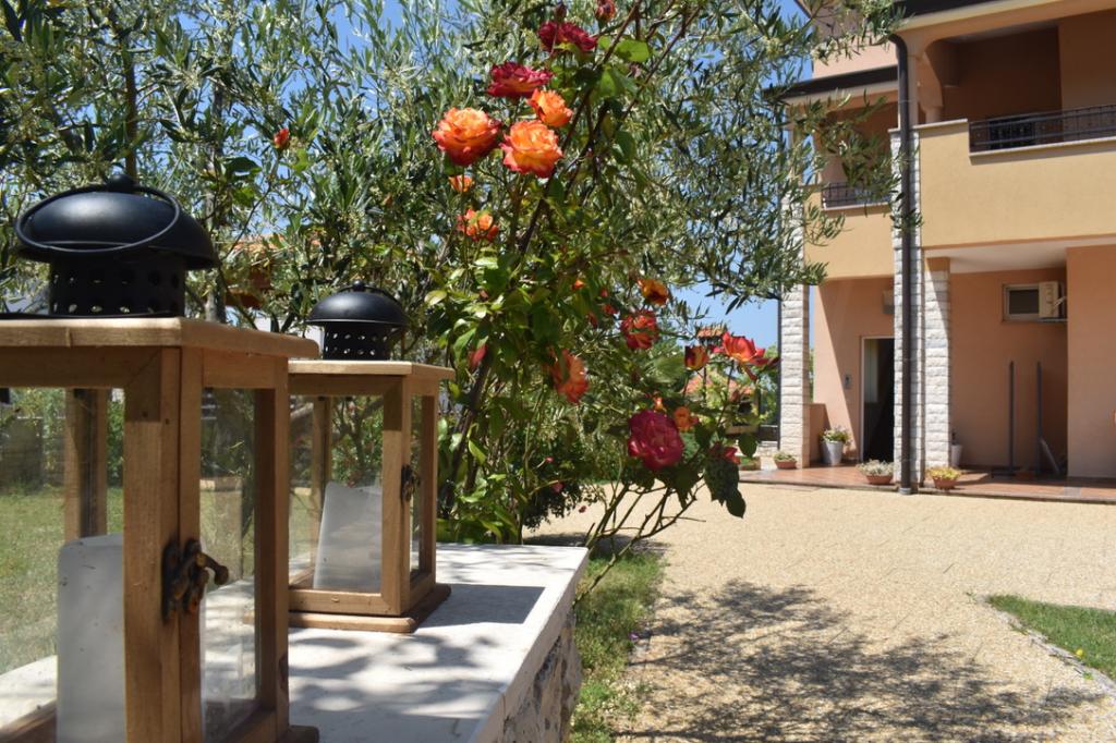 Apartmani Lavanda – fotografija 5