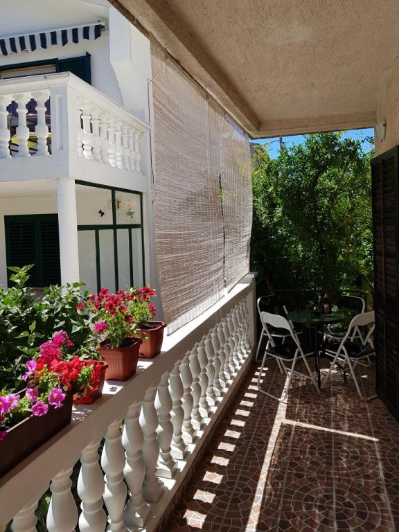 Apartman Maša – fotografija 1