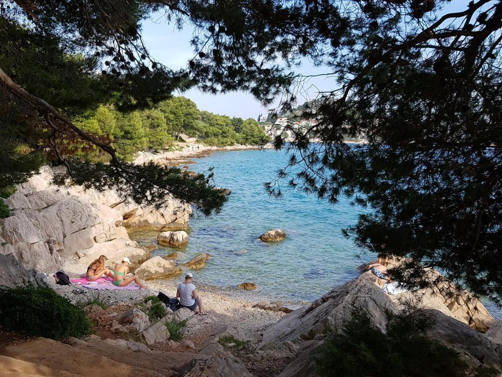 Apartman Maša – fotografija 4