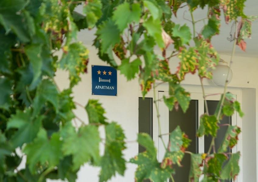 Apartmani Miran – fotografija 5