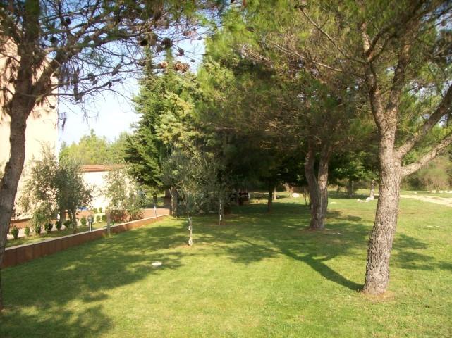 Apartman Villa Sipar Zambratija – fotografija 5