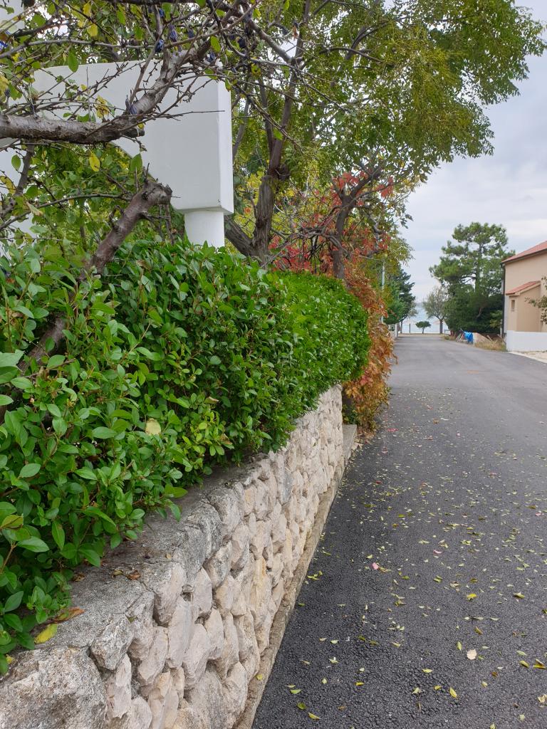 Apartmani Ana – fotografija 3