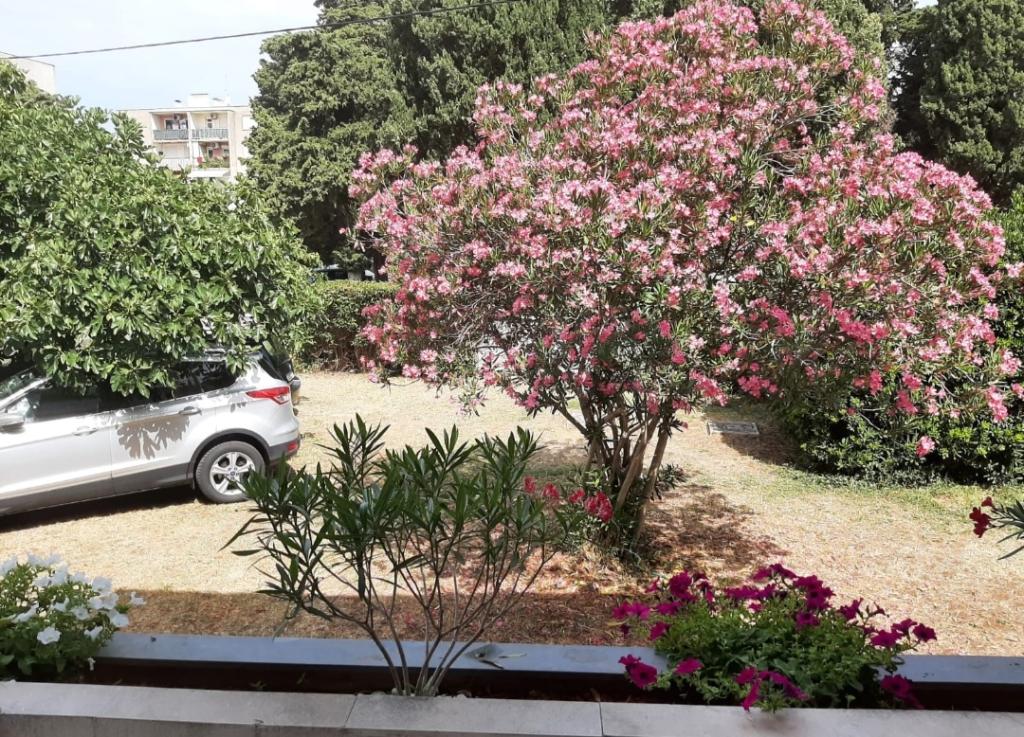 Apartmani Morić – fotografija 2