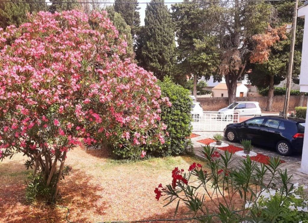 Apartmani Morić – fotografija 3