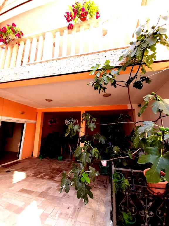 Apartmani Vila Luxor – fotografija 4