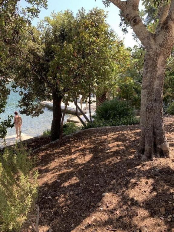 Apartmani Citrine & Safirus – fotografija 3