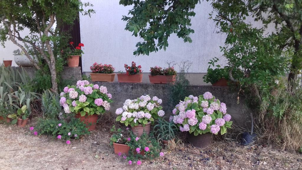 Apartmani Josipa – fotografija 6
