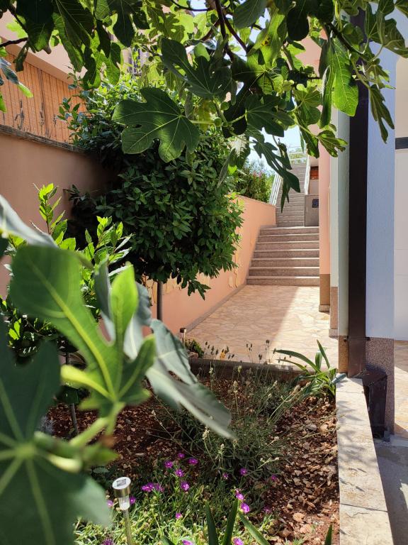 Apartman Anita – fotografija 4