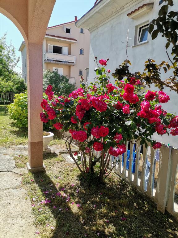Apartmani Adria – fotografija 5