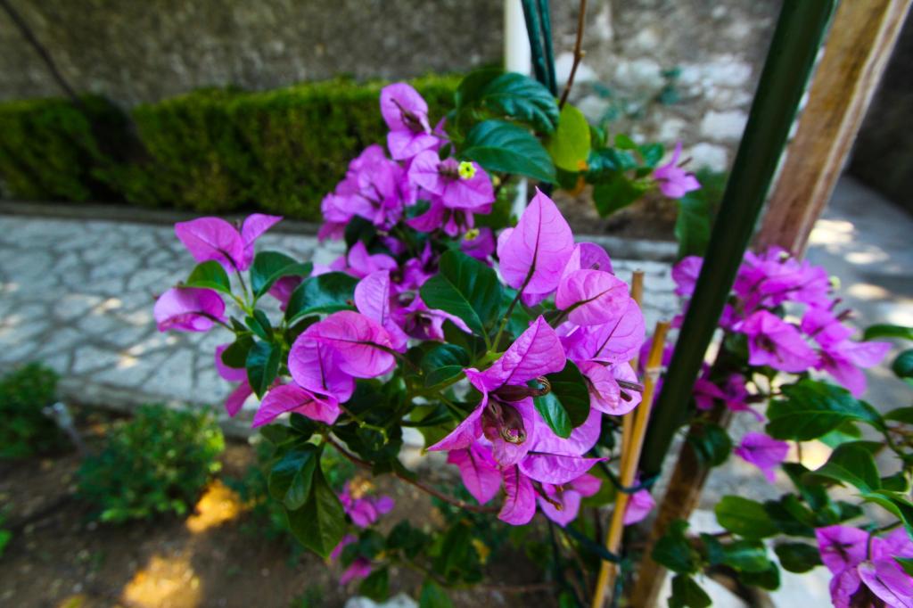Apartman Morović – fotografija 3