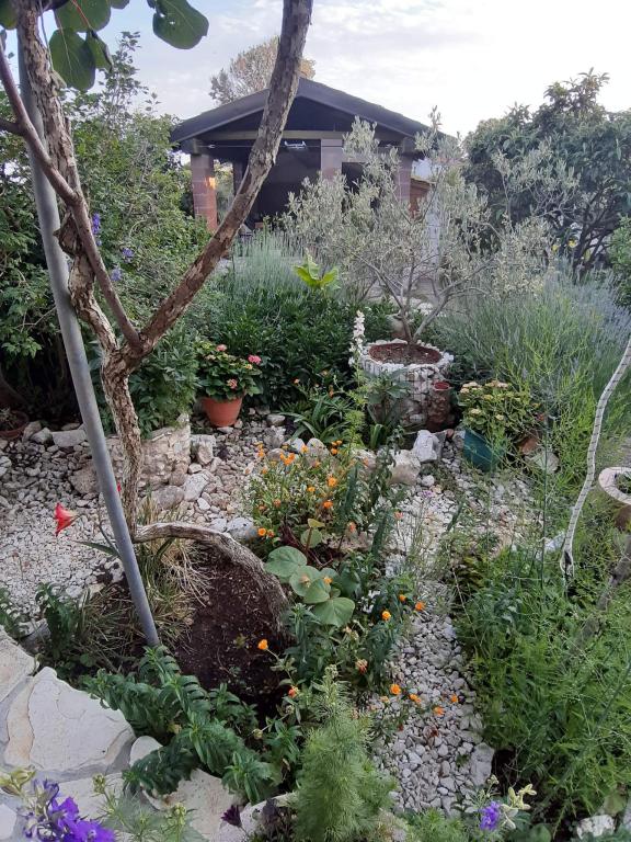 Apartman Krstačić – fotografija 3