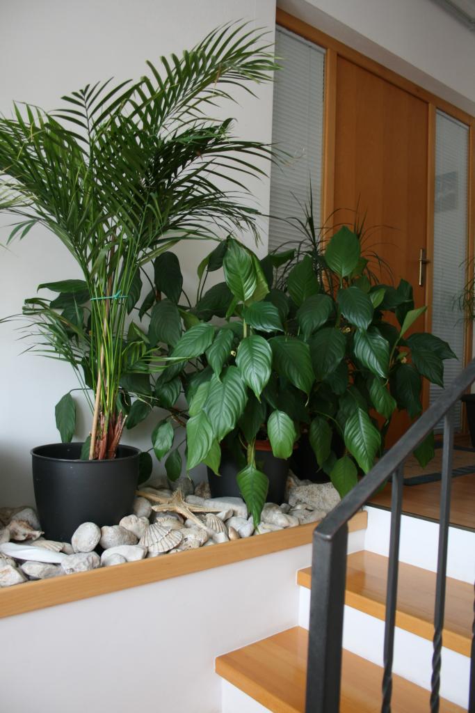 Apartmani Katarina – fotografija 6