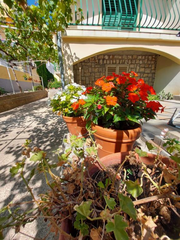 Apartmani Ivan – fotografija 3
