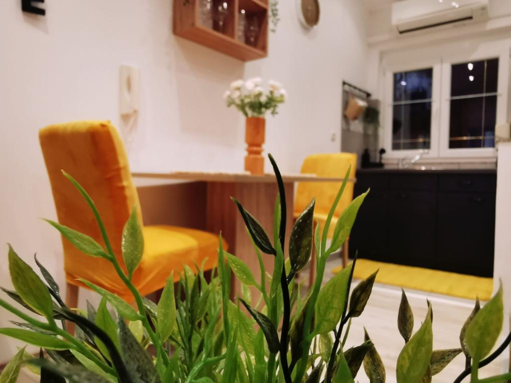 Apartmani Lino – fotografija 5