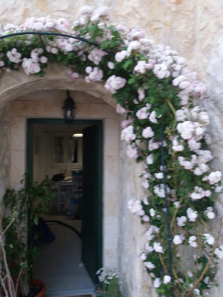 Apartmani Wild Wind – fotografija 4