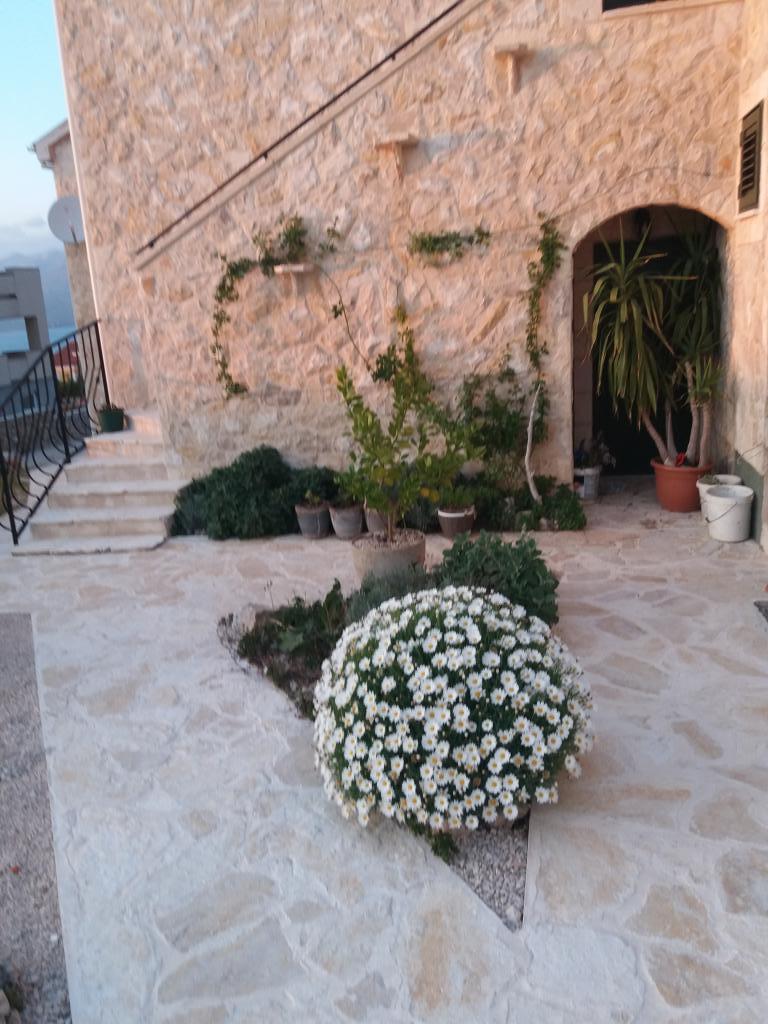 Apartmani Wild Wind – fotografija 6