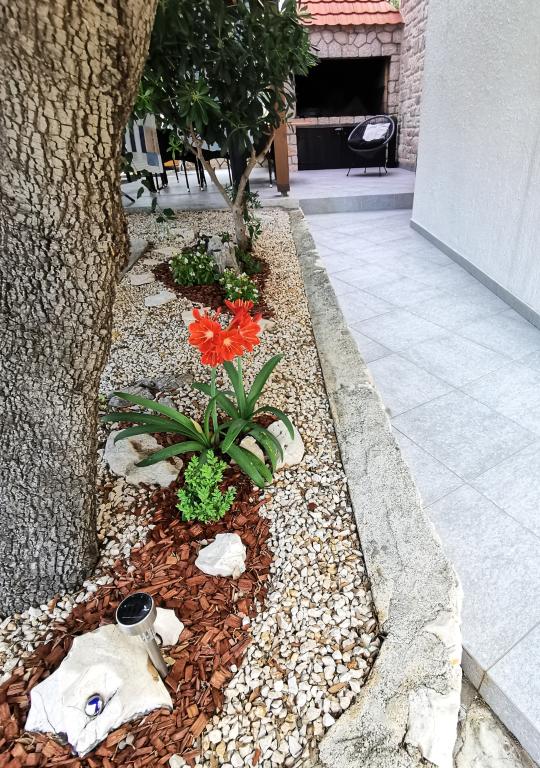 Apartman Gelo – fotografija 3