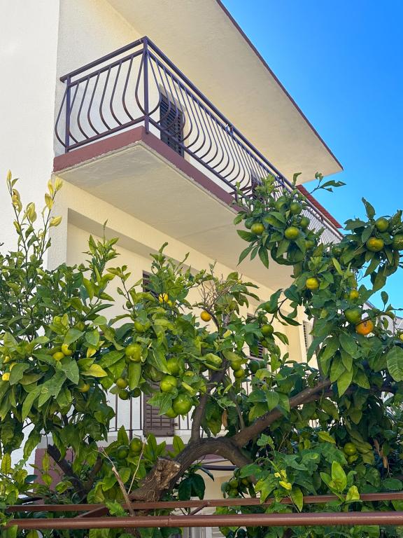 Apartmani Niko – fotografija 5