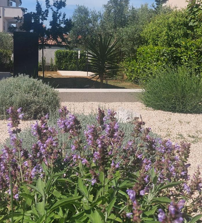 Apartman Korni – fotografija 5