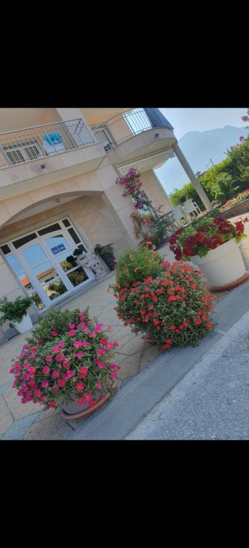 Apartmani Villa Marić – fotografija 5