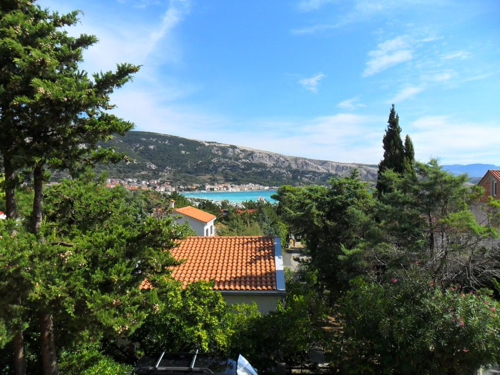 Apartmani Olea – fotografija 5