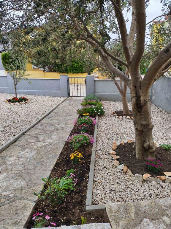 Apartmani Špikić – fotografija 5
