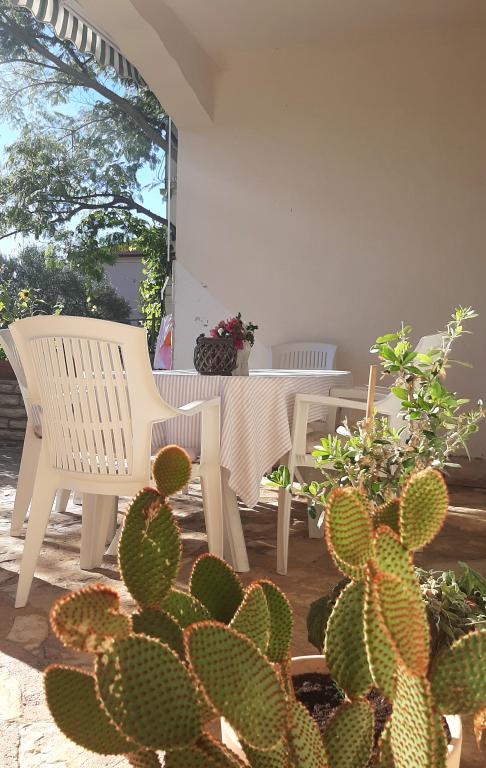 Apartman Barbarosa – fotografija 6