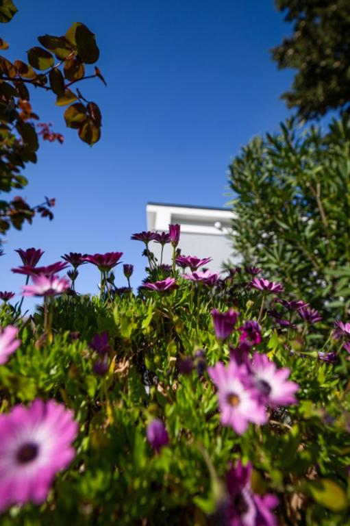 Apartman Jasna – fotografija 1