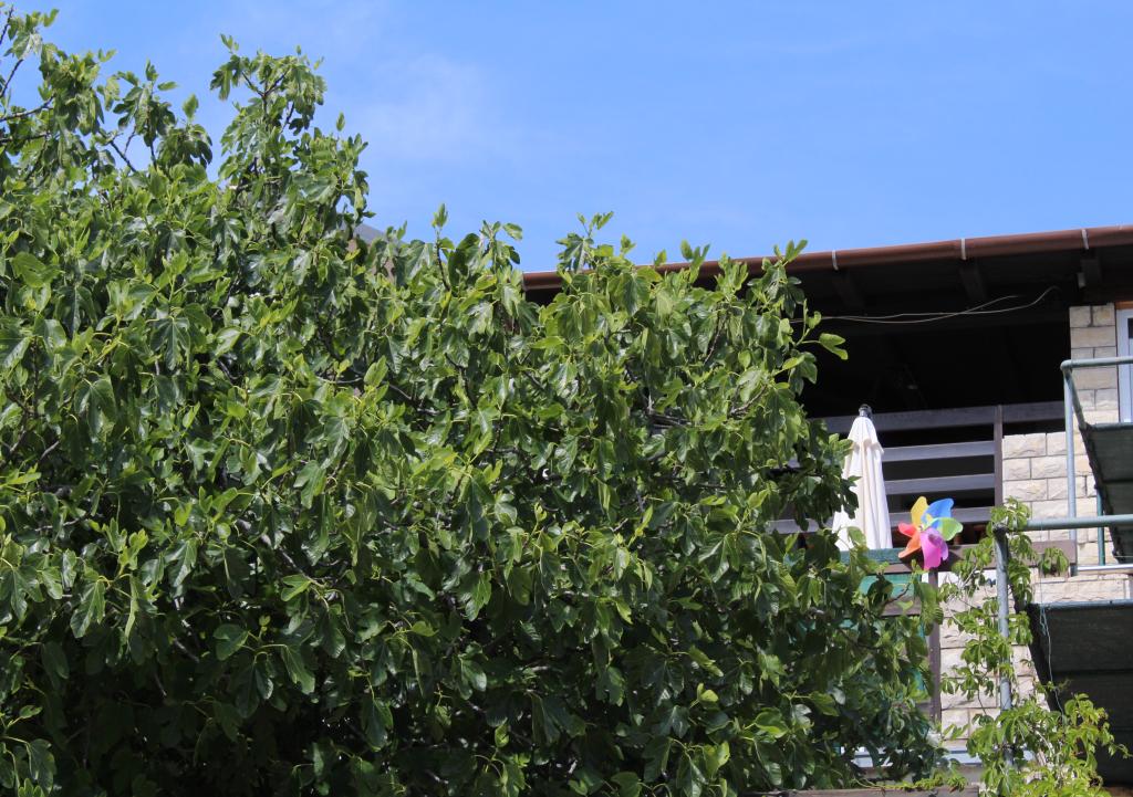 Apartman Geceg – fotografija 4